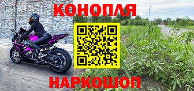 сатива Балаково