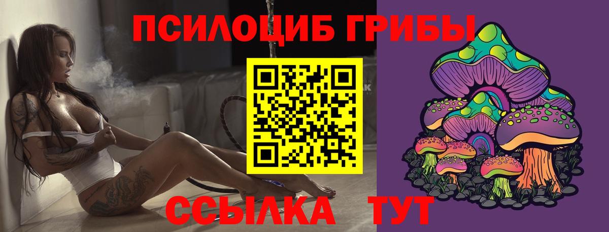 Псилоцибиновые грибы ЛСД Горно-Алтайск